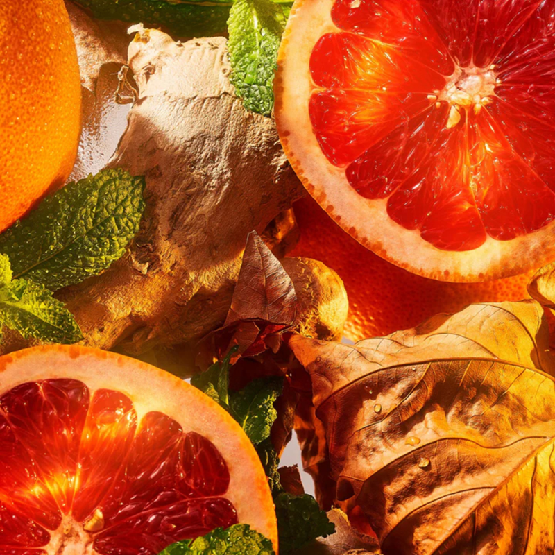 Roja Parfums Burlington 1819 EDP